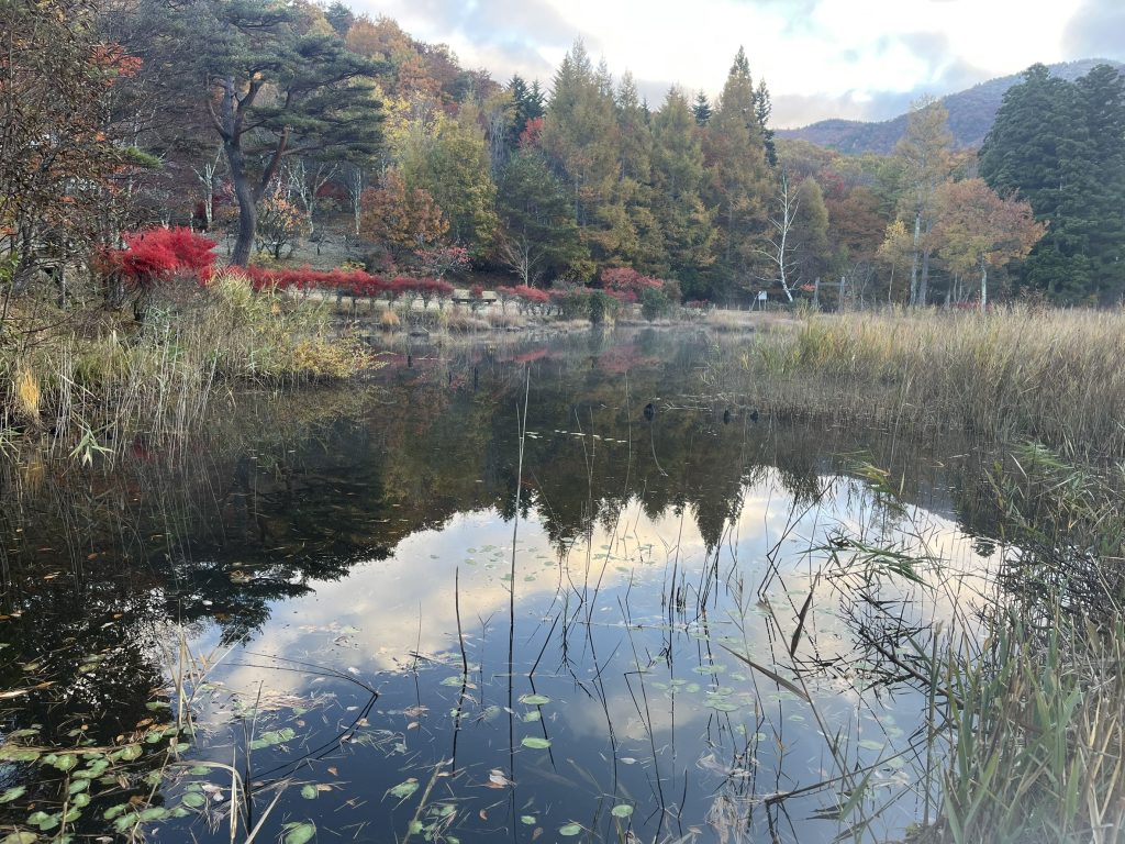 秋の観音沼